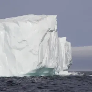 Avalon Peninsula