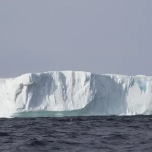 Avalon Peninsula