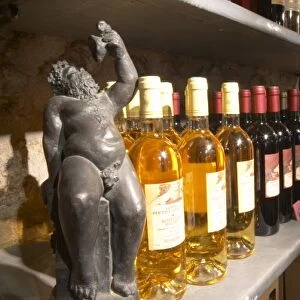 Bacchus. Domaine Pietri-Geraud Roussillon. The wine shop and tasting room. France