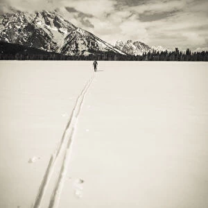 Backcountry skier under Mount Moran, Grand Teton National Park, Wyoming USA