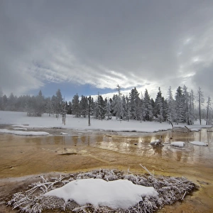 Bacteria Mat in the Lower Geyser Basin in winter in Yellowstone National Park