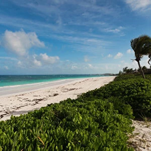 Bahamas, Eleuthera Island, Harbour Island, Pink Sands Beach