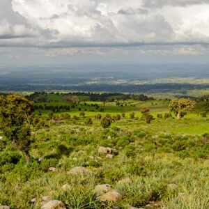 Bale Mountains National Park. Ethiopia
