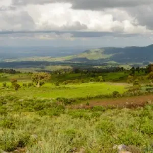 Bale Mountains National Park Print Bale Mountains National Park Print