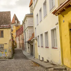 Baltic States, Estonia, Tallinn. Cobblestone street in the old city