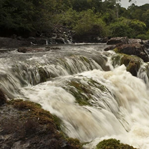 Bamboo Falls Rewa River Rainforest GUYANA. South America