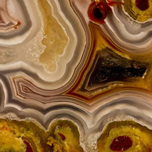 Banded Mexican Agate, Sammamish WA