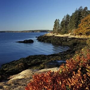 Barters Island, Boothbay, ME. Fall at the Porter Preserve on the Sheepscot River