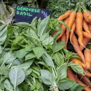 Basil and Carrots Print at USA Farmers Market Basil and Carrots Print at USA Farmers Market