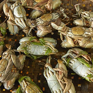Basket of crabs, fish market, Hoi An (UNESCO World Heritage Site), Vietnam
