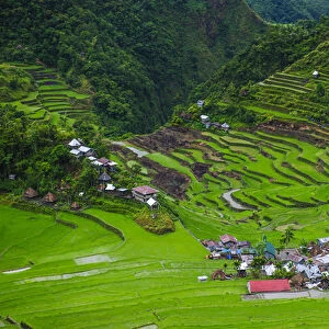 Batad rice terraces part of the world heritage sight Banaue, Luzon, Philippines