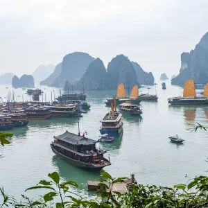 Bay, Vietnam (UNESCO World Heritage Site). Junks in the bay
