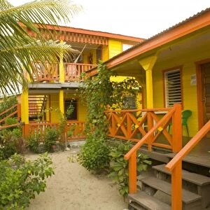 Beach houses and palm tree, Placencia, Stann Creek District, Belize, Central America