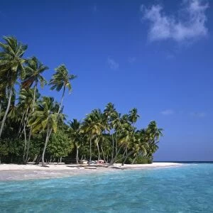 Beach with palm trees, Maldives