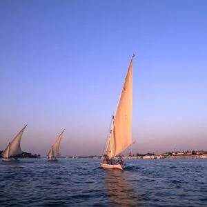Beautiful sail boats riding along the famous Nile River in Cairo Egypt