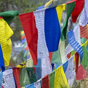 Bhutan, Thimphu. Colorful prayer flags on mountain top at the Sangaygang Geodetic Station