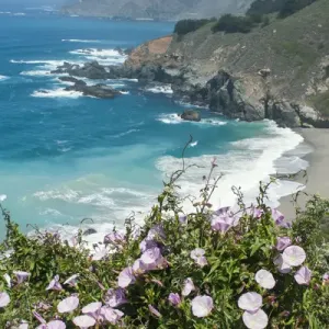 Along the Big Sur Coastline, California Along the Big Sur Coastline, California