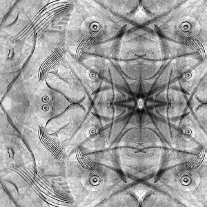 Black and white of kaleidoscope abstract