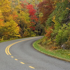 Blue Ridge Parkway winding through autumn colors, Pisgah National Forest, North Carolina