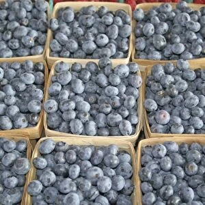 Blueberries at farmers market in South Haven Michigan