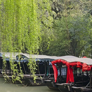 Boats with willow trees on the Grand Canal, Nanxun Ancient Town, Zhejiang Province, China