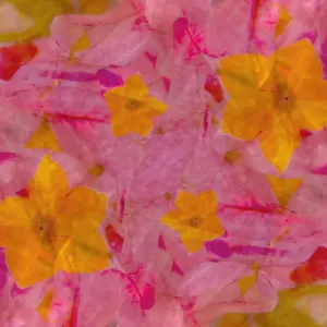 Bold pink and yellow floral abstract Bold pink and yellow floral abstract