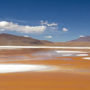 Bolivia, Atacama Desert, Laguna Colorada, Red Lake. The red lake is shallow