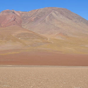 Bolivia, Atacama Desert. Yellow grasses add color to the red mountain in the desert