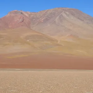 Bolivia, Atacama Desert. Yellow grasses add color to the red mountain in the desert