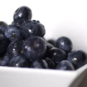 Bowl of blueberries Bowl of blueberries