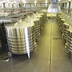 The brand new winery (cuverie) with stainless steel fermentation tanks, view