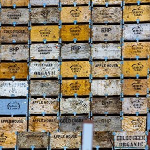 Brewster, Washington State, colorful, wooden fruit shipping crates