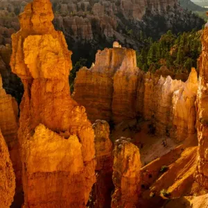 Bryce Canyon National Park, Bruce, Utah. Hoodoos Soldier and a Line of Hoodoos Warmed by Sunlight