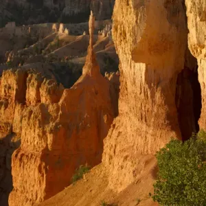 Bryce Canyon National Park Print - Hoodoos Wall Bryce Canyon National Park Print - Hoodoos Wall