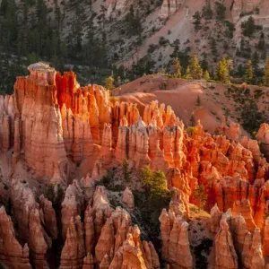 Bryce Canyon National Park Utah, USA