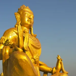 Golden Temple Buddha Statue Print