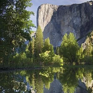 CA, Yosemite NP, El Capitan reflected in Merced River