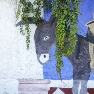 Cabo San Lucas, Mexico. Mural on a wall depicting a donkey (burro)