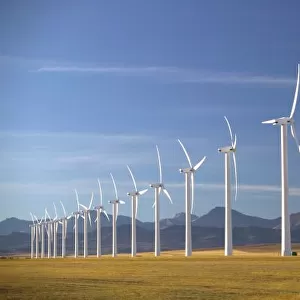 Canada, Alberta, Crowsnest Pass Area: Cowley Ridge Wind Farm Landscape