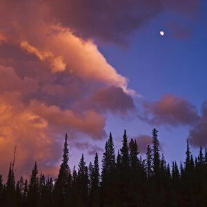 Canada, Alberta, Jasper National Park. Clouds over forest at sunset
