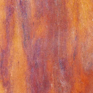 Canada, British Columbia. Bark detail of madrone tree smooth bark