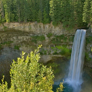 Canada, British Columbia, Brandywine Falls Provincial Park, Waterfall off cliff into pool