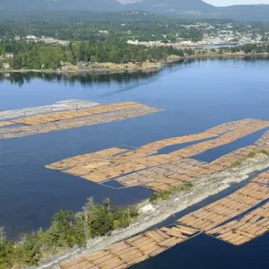 Canada Print: Log Booms in Chemainus River Estuary Canada Print: Log Booms in Chemainus River Estuary