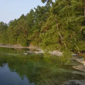 Canada, British Columbia, Russell Island Canada, British Columbia, Russell Island