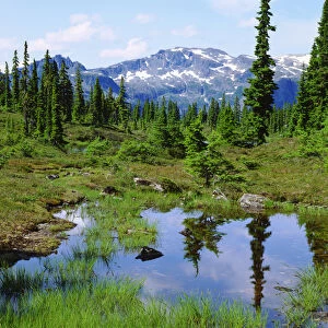 Canada; British Columbia; A tarn in the backcountry of Vancouver Island