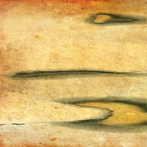 Images Dated 2008 February: 8 Feb 2008