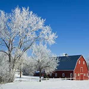 Canada, Manitoba, Grande Pointe. Hoarfrost and red barn in winter