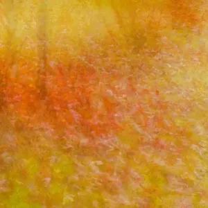 Winnipeg Autumn Print Winnipeg Autumn Print