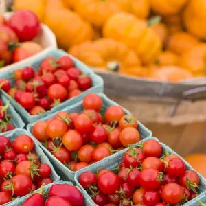 Canada, New Brunswick, Kennebecasis River Valley. Kingston Farmers Market in autumn Canada, New Brunswick, Kennebecasis River Valley. Kingston Farmers Market in autumn