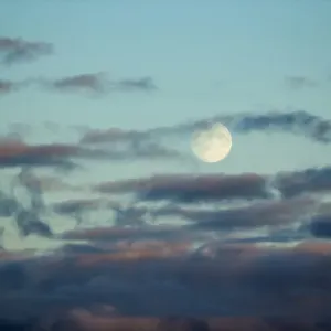 Kanada, Territorium der Inuit-Selben-Nunavut-Landestein ,Arviat,Bis zum Vollmond steigt er durch die Wolken entlang des Westkurses Kanada, Territorium der Inuit-Selben-Nunavut-Landestein ,Arviat,Bis zum Vollmond steigt er durch die Wolken entlang des Westkurses
